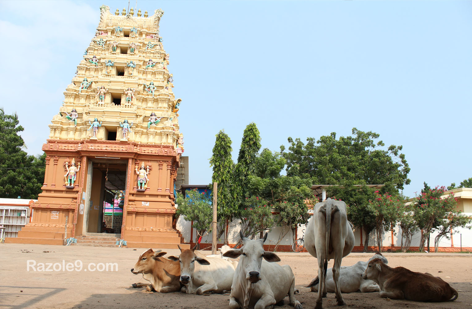 Antarvedi Lakshmi Narasimha Swamy Temple - Eastgodavari - Sakhinetipalli Mandal - Razole Constituency - Andhrapradesh